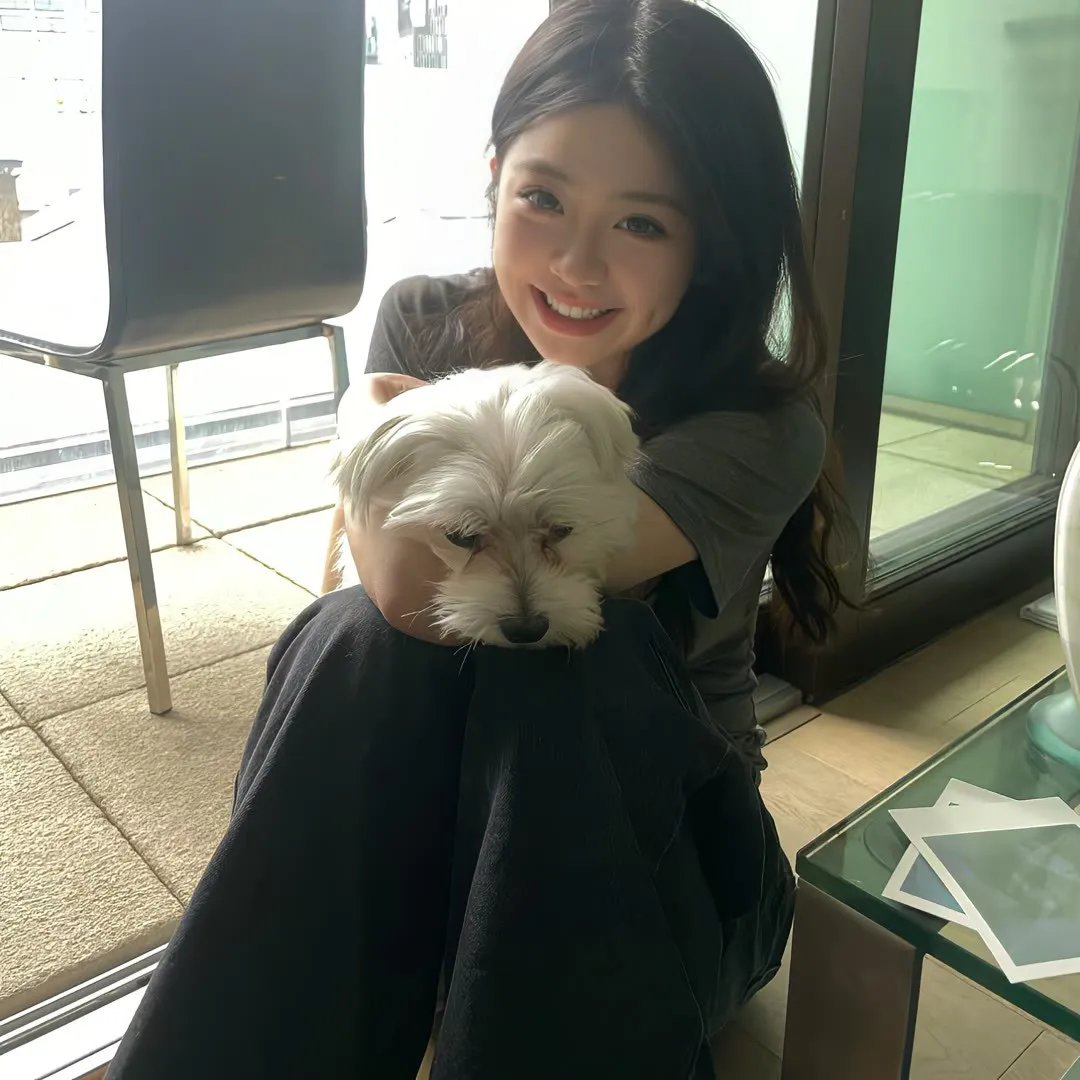 高卢英雄：魔法的秘密